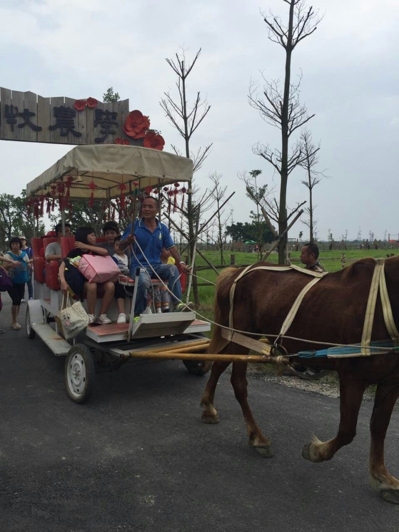 殘疾兒童和家長一起乘坐馬車