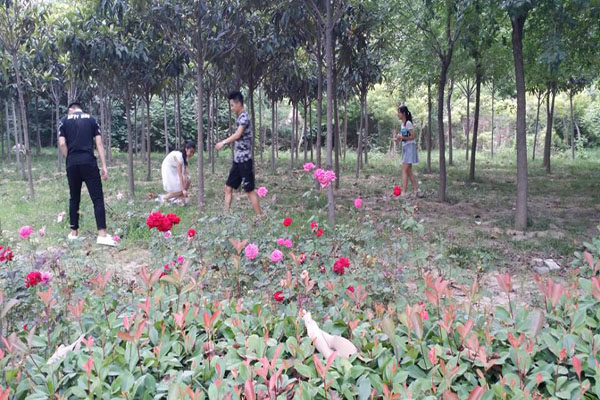 團隊成員在公園內撿拾垃圾