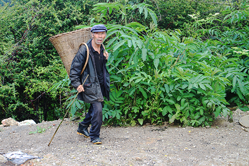 配圖1.一位三轉彎村村民在去拾柴的路上。 通訊員馬曉晴 攝影