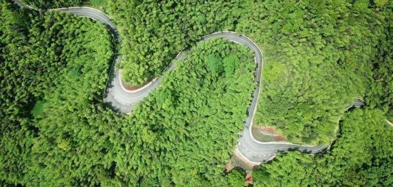 這是5月10日無(wú)人機(jī)拍攝的赤水竹海國(guó)家森林公園景區(qū)的旅游公路。貴州省赤水市竹海國(guó)家森林公園現(xiàn)有竹林面積10多萬(wàn)畝，崇山峻嶺間居住著3000多名農(nóng)民。近年來(lái)，赤水市旅游部門以“黨建+旅游+扶貧”模式助推脫貧攻堅(jiān)，投入資金對(duì)這里原有盤山公路進(jìn)行升級(jí)改造，既提升了游客來(lái)竹海景區(qū)旅游的舒適度，又讓當(dāng)?shù)剞r(nóng)民種植的楠竹、竹筍等可以通過(guò)便捷的旅游公路運(yùn)送出大山，不少山區(qū)農(nóng)民還依托景區(qū)豐富的客源開辦起農(nóng)家樂(lè)，實(shí)現(xiàn)了“家門口”增收。