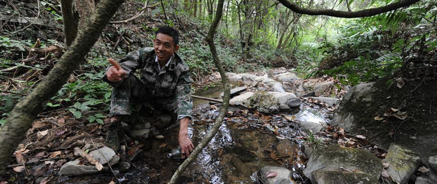 10月16日，皮海云在江西新干黎山林場連坑分場向記者介紹林地情況。今年49歲的皮海云是江西省吉安市新干縣黎山林場的護(hù)林員，1989年起開始從事護(hù)林、育林工作。他在林區(qū)巡視平均每天要走20多公里，30年的時(shí)間里累計(jì)行走20余萬公里，黎山林場處處留下他的足跡。 30年來，皮海云看護(hù)的林區(qū)從未發(fā)生過大面積森林病蟲害，以及重大侵占林地等案件。皮海云多次被林場評為勞動模范、優(yōu)秀共產(chǎn)黨員，還于2018年榮獲新干縣“十佳最美職工”稱號。