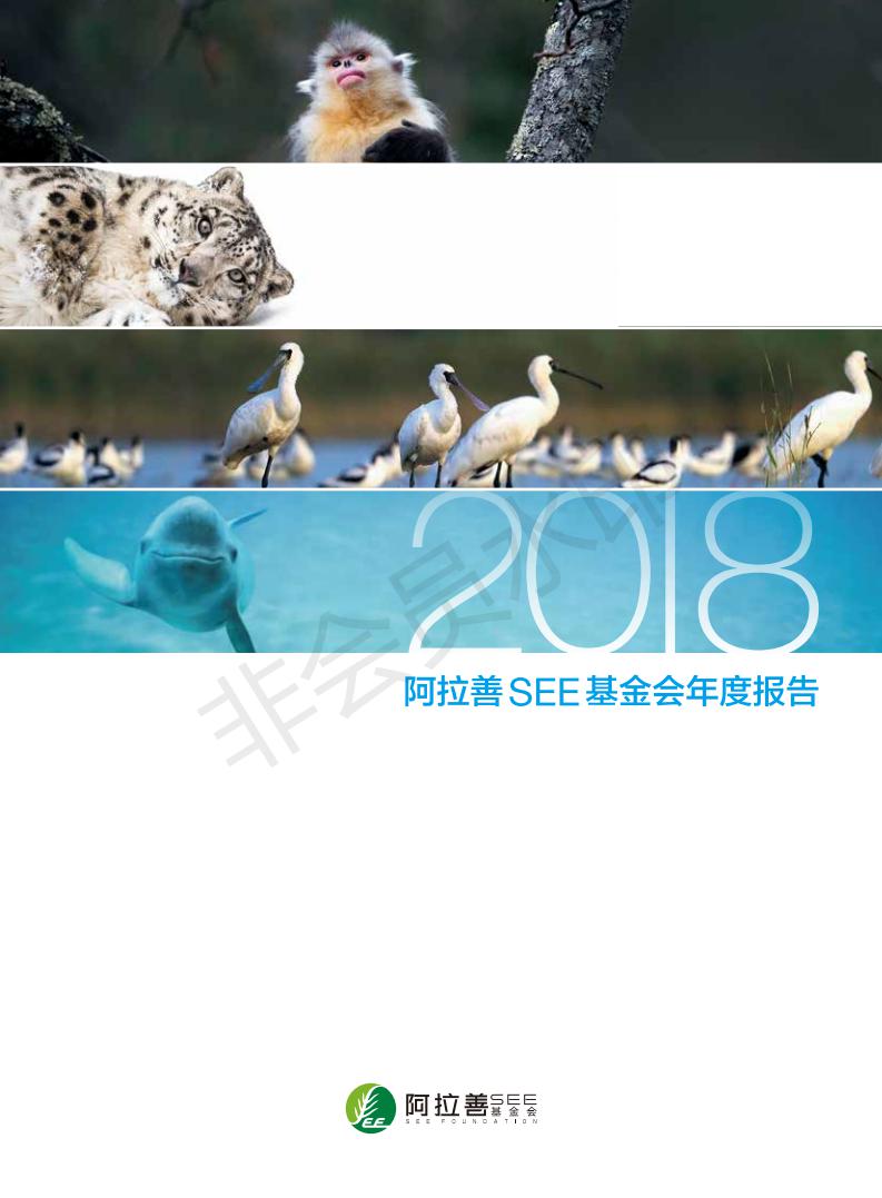 阿拉善年度報告_00