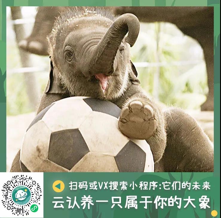 微信圖片_20200910160707