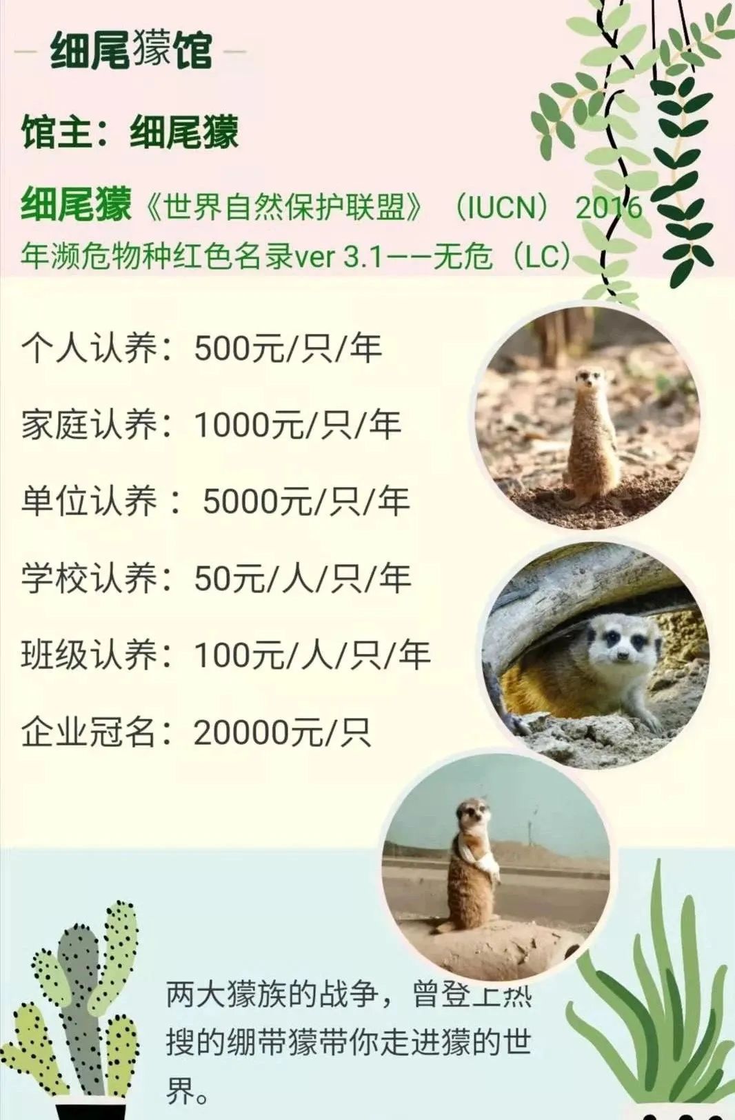 0E7F68E372221F513590E33593E4C1F63C77F408_size181_w1066_h1624