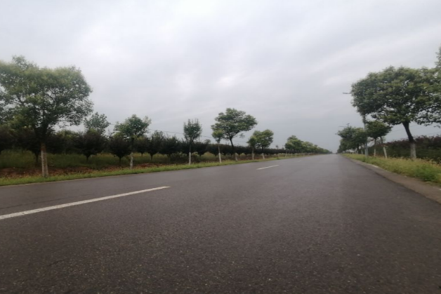 嶄新的水泥路