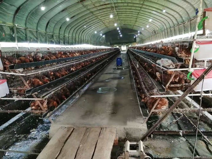 養殖2