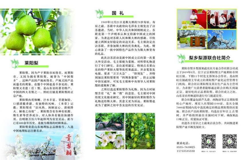 Image1(1)