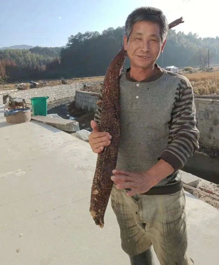 安徽農民捐大米