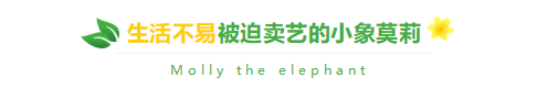QQ截圖20220424144243