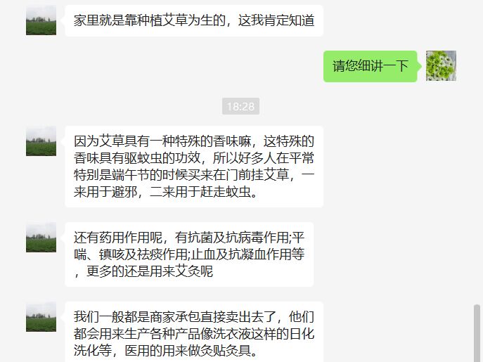 圖片6
