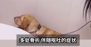 圖片1