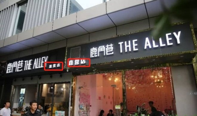 圖片5