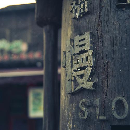 圖片8