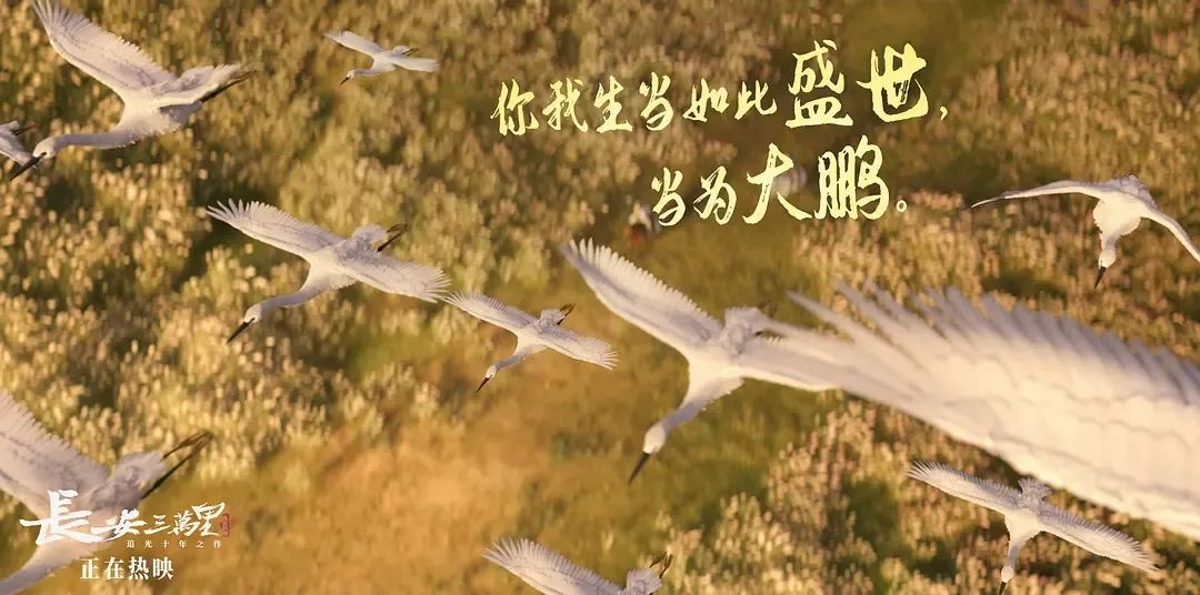 圖片10