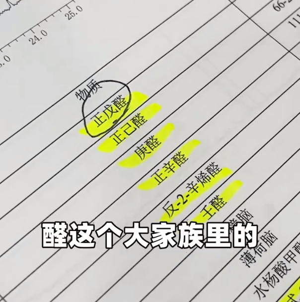 圖片5