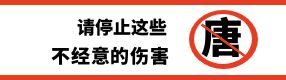 兩位唐氏兒媽媽用20年互相治愈：別讓“唐”字成為歧視