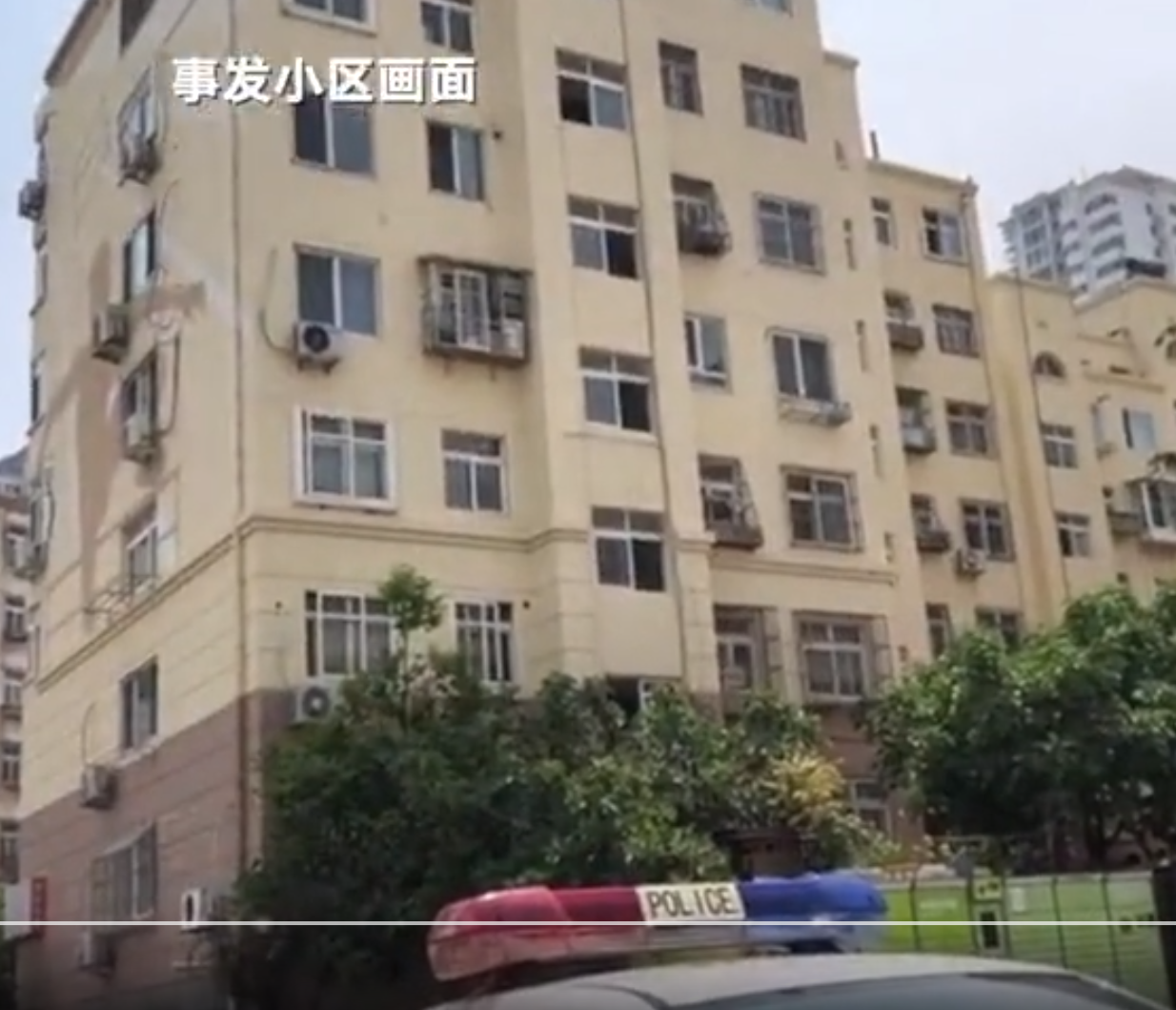 圖片3