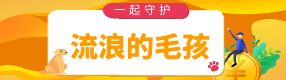 寒風凜冽，流浪的毛孩如何過冬？