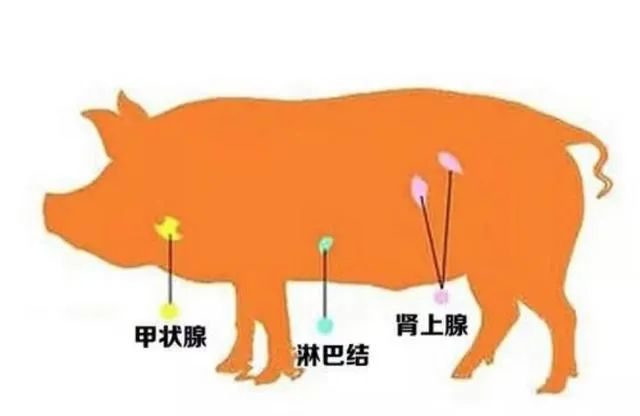 圖片1