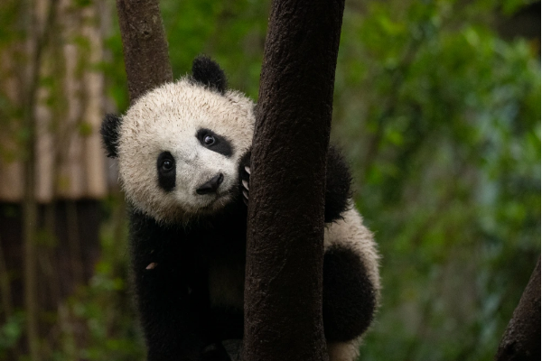 圖怪獸_2c4a29ff4c0ca2a26e3b43514579cd92_24704