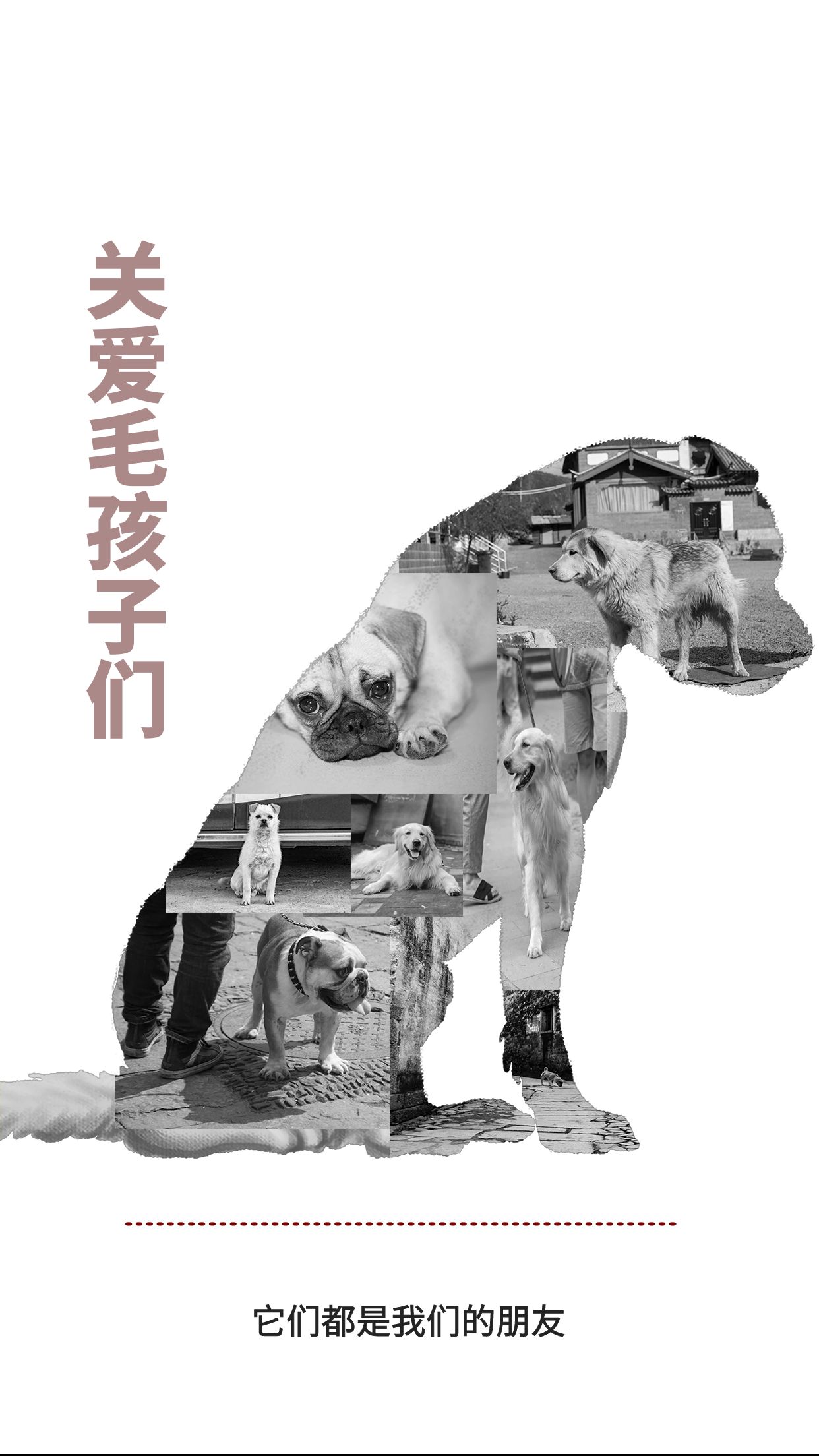 圖怪獸_da725a2b4496f3aa76fa020548ba093a_77107