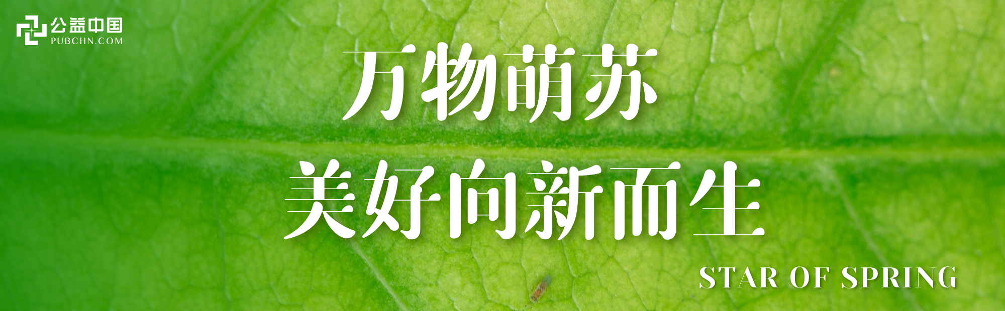 立春，一年之計在于春