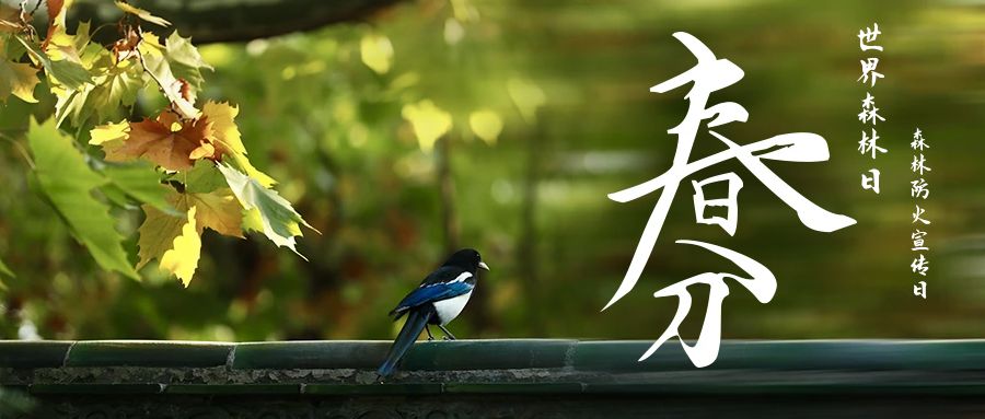 圖怪獸_16d4d5716e92c4f77fc8b30758105c1f_21345