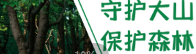 今日春分 | 走進一場暗淡春色的山火