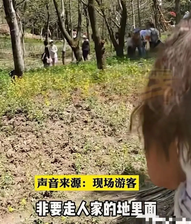 圖片4