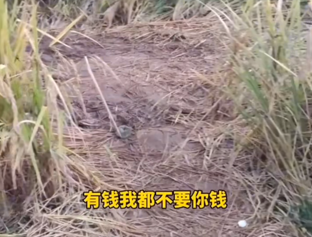 圖片5