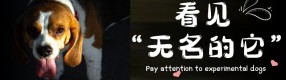 走近科研界的“小英雄”，一串編號(hào)可能就是它的一生