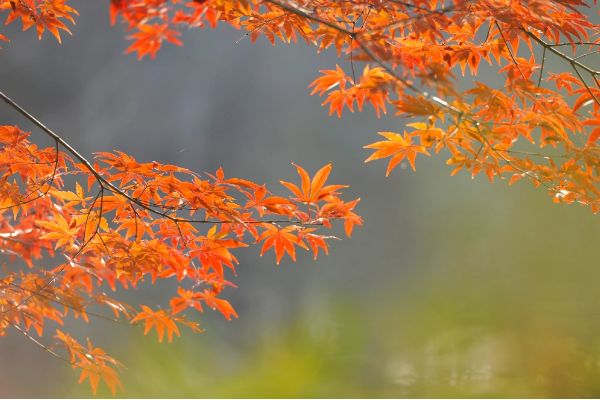 圖怪獸_未命名