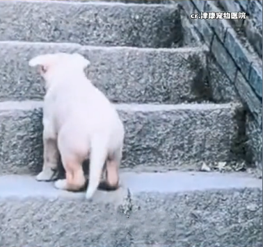 搜狗截圖24年11月15日1049_2_看圖王