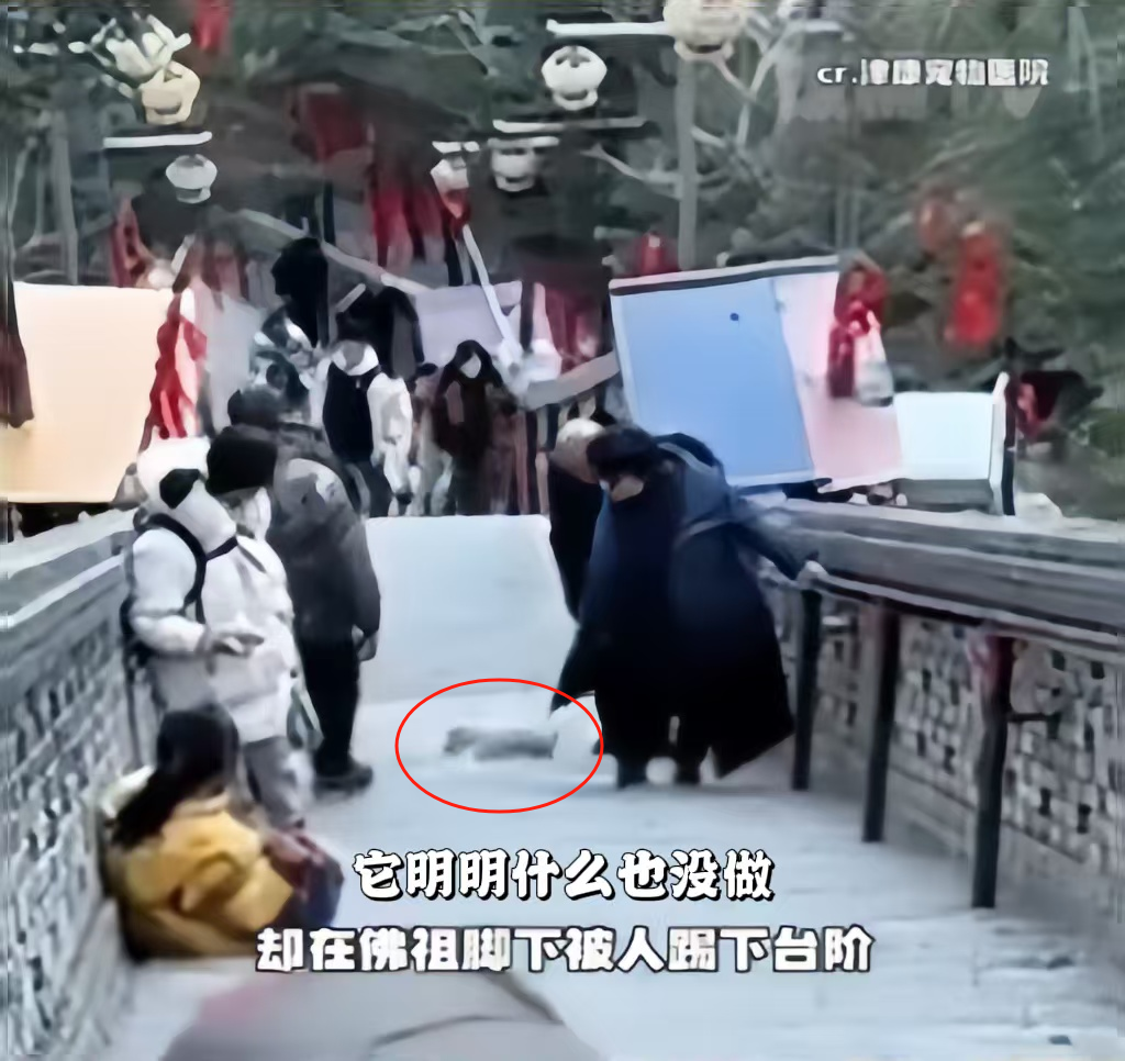 圖片1