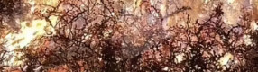 大牯牛山被游客縱火：肆意青春不是肆意妄為！