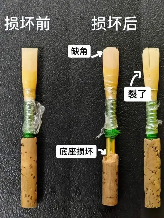 圖片2