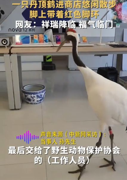 圖片6