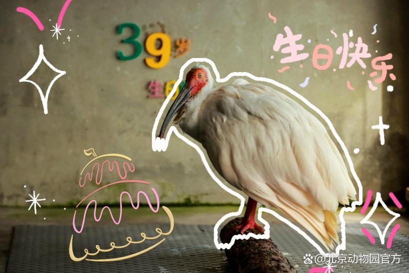 圖片 5