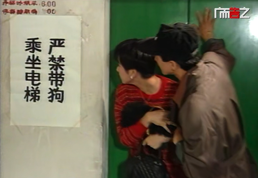 圖片 3