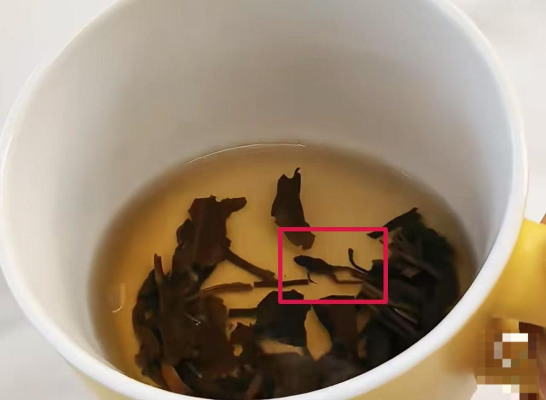 圖片 4