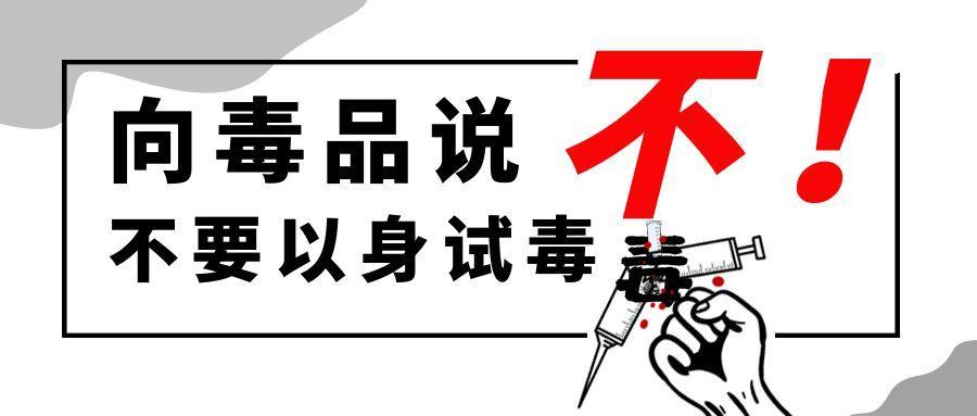 圖片 5
