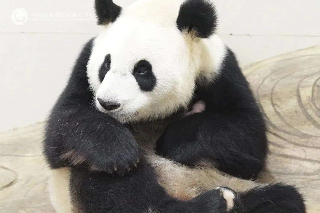 圖片 5