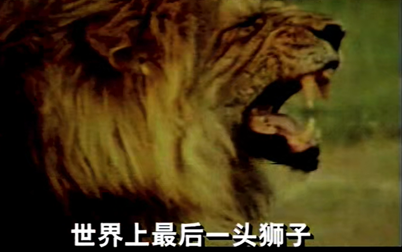圖片 10