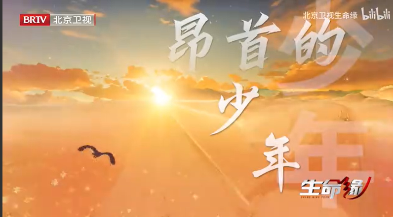 圖片 8
