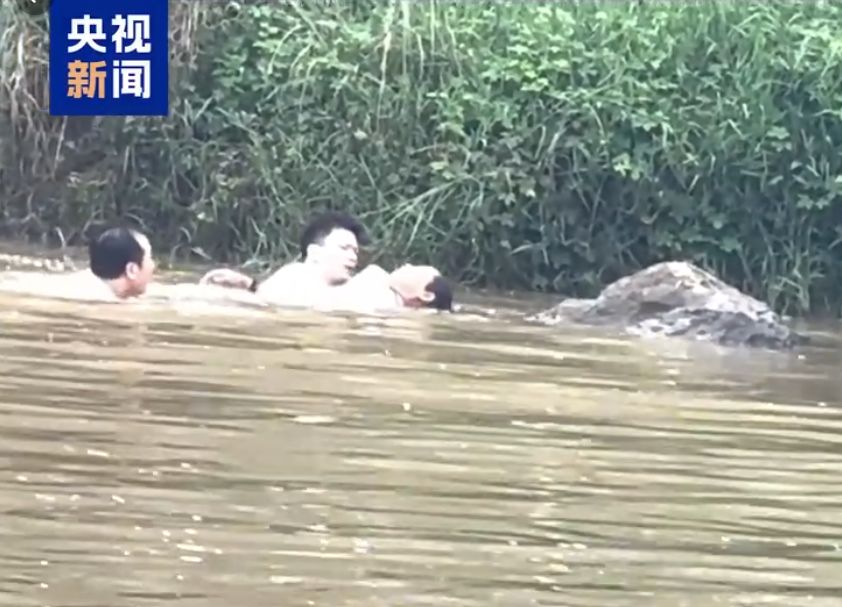 圖片 4